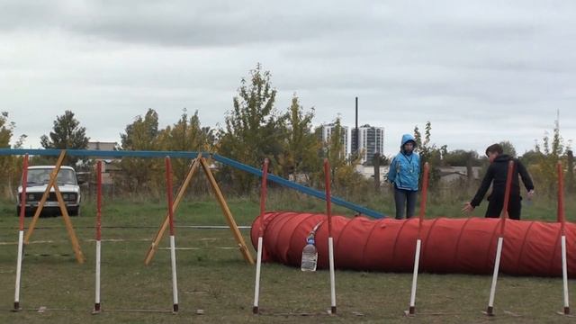 Команда Черно-белые