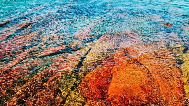 ERA - Flowers Of The Sea