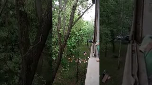 Как правильно выносить мебель из квартиры =) смотреть онлайн