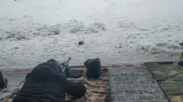 Замеры скоростей разных патронов на Тигре 7,62х54 ствол 530, 620, Сайге .308 ствол 415 смотреть онлайн