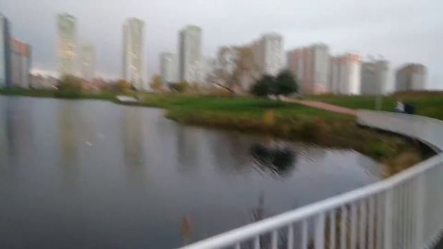 Питер, улица Димитрова. Парк и окружение. смотреть онлайн