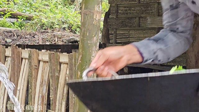 Single mother - Harvesting corn fields to sell at the market. Build a bamboo dining table смотреть онлайн