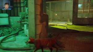 ПРОХОЖДЕНИЕ STRAY | ЧАСТЬ ВОСЬМАЯ | ПОБЕГ ИЗ ТЮРЬМЫ |       #игры #strayпрохождение #прохождение