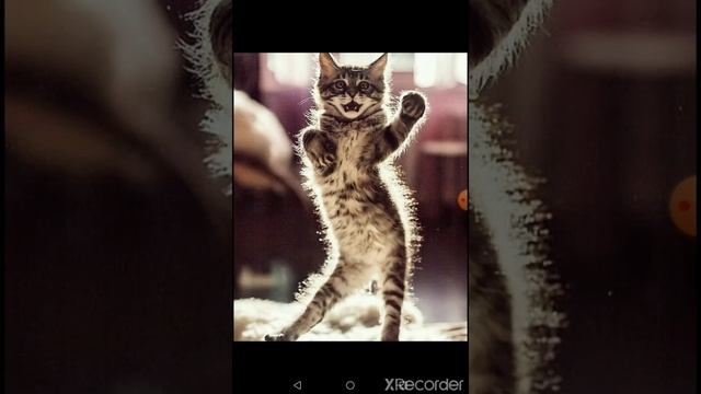 песня"мой котик котик котик" смотреть онлайн