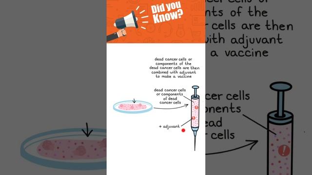 How cancer vaccines are made? смотреть онлайн