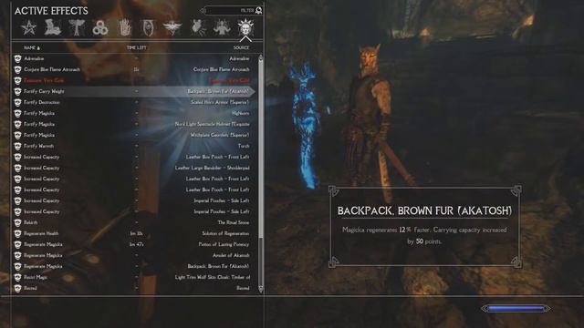 Skyrim Special Edition Lets Play Modded w/ Ordinator Episode 25 So many spawns смотреть онлайн