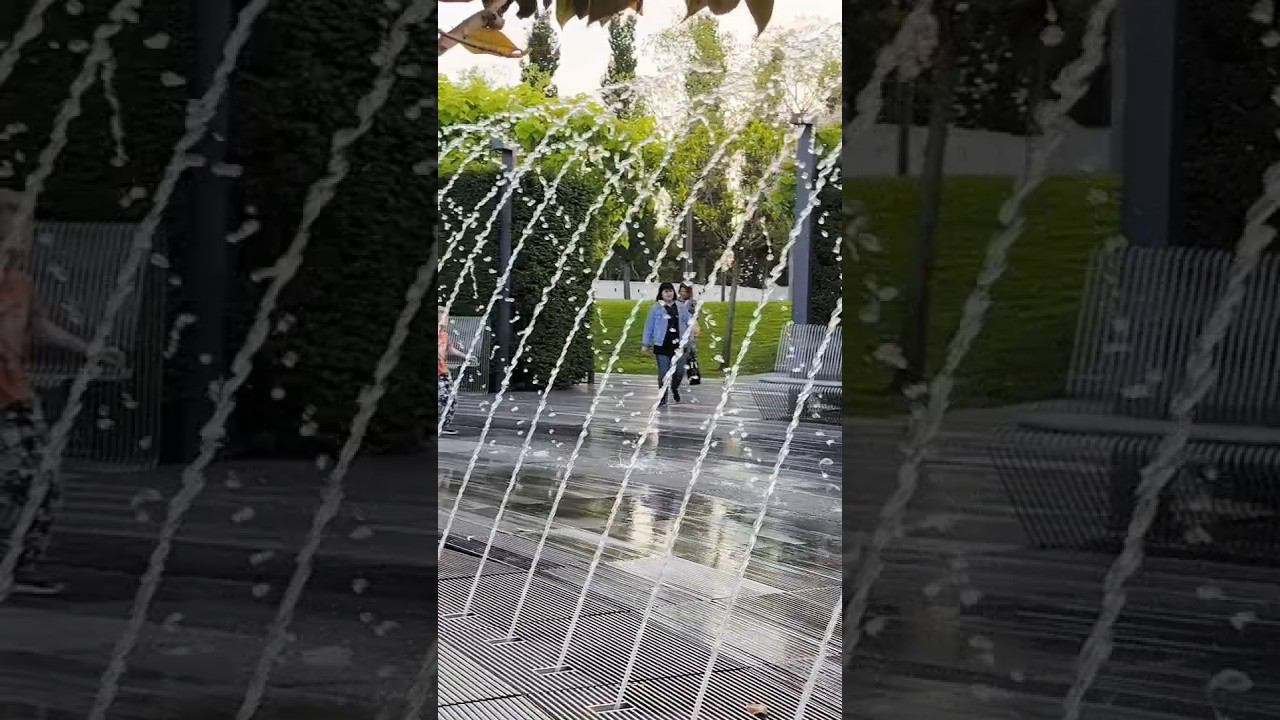 Фонтан Кратер с рыбками Кои Парк Галицкого Краснодар Закате Весна Май Июнь Asmr