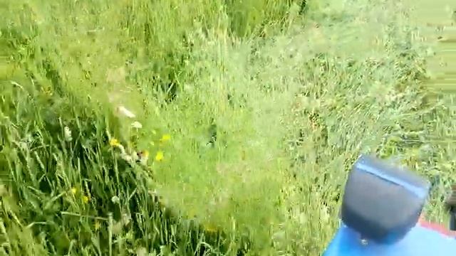 Косимо траву сегментна косарка