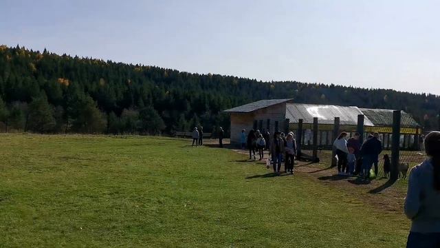 Висимская зооферма. Зооферма в Висиме смотреть онлайн