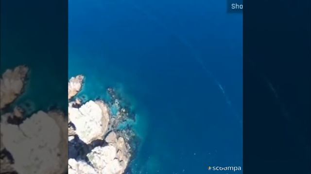 Хороший день на море! смотреть онлайн