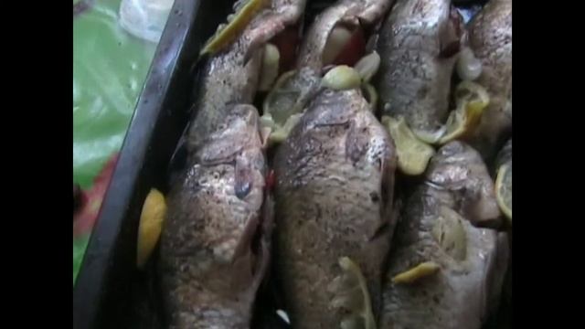 Жесть!!! The hardy carp who has risen from a hell - Карп смотреть онлайн