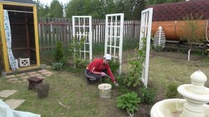 6 соток 5 июня 2023 года. Хроника.