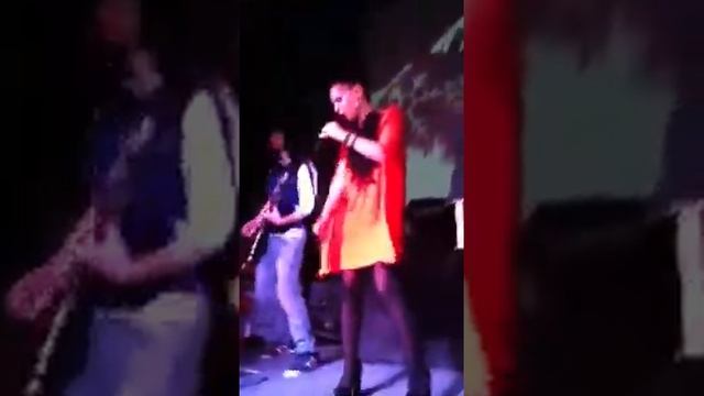 Прованс Ёлка смотреть онлайн