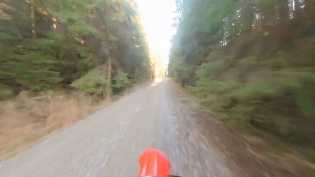 CRF 450 L Last ride before winter Pure 450 sound ASMR Braaap! смотреть онлайн