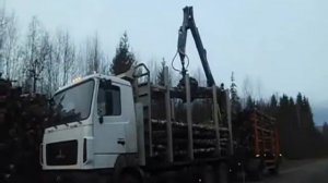 загрузка лесовоза