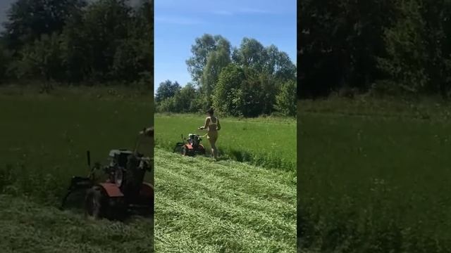 КАК ЖИВЕТ МОЛОДЕЖЬ НА СВОЕМ ХУТОРЕ смотреть онлайн