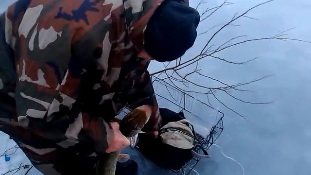 Зимняя рыбалка в Карелии смотреть онлайн