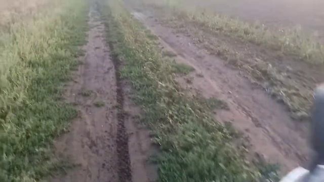Покатушка на panther по палям, проверка enduro мотоцикла. Жесть...до Сматрите до конца.. смотреть онлайн