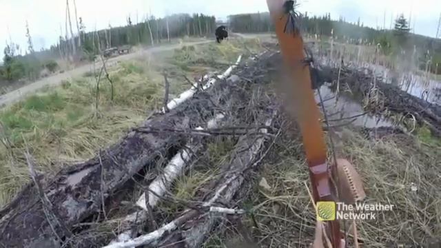 Skyrim.exe is not responding смотреть онлайн