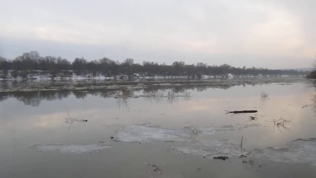 Разлив Ока, Таруса, Поленово 02.04.2021 смотреть онлайн