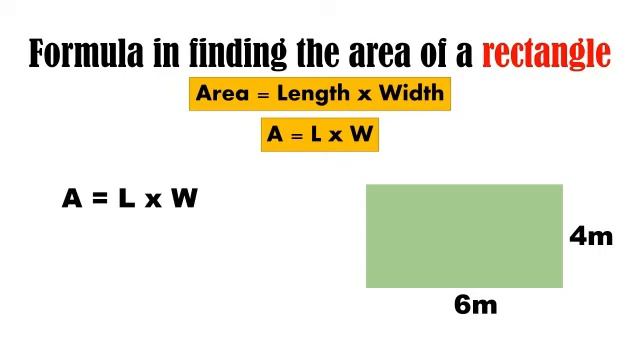 Finding the Area of Square, Rectangle, Triangle, Circle смотреть онлайн