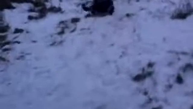 Сани самоделки смотреть онлайн