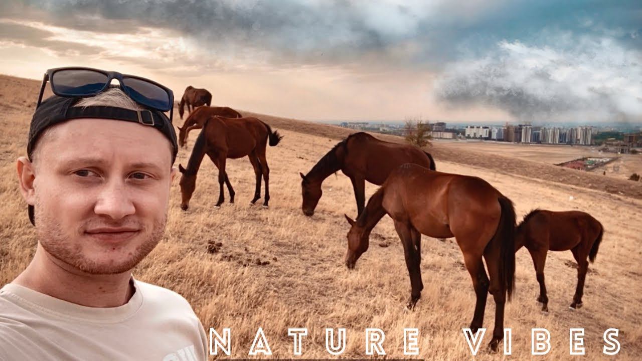 Бишкек на ладони / Покормили лошадок / Панорамный вид / Kyrgyzstan vlog смотреть онлайн