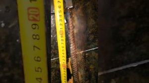 печь в баню, без колосника и зольника. размеры.