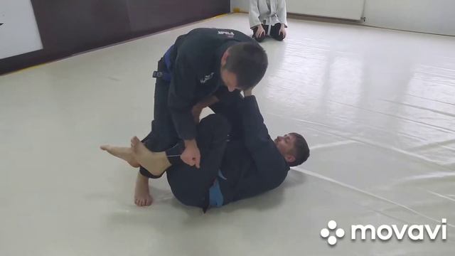 День Борьбы. Джиу-Джитсу Луганск. #bjj #jiujitsu