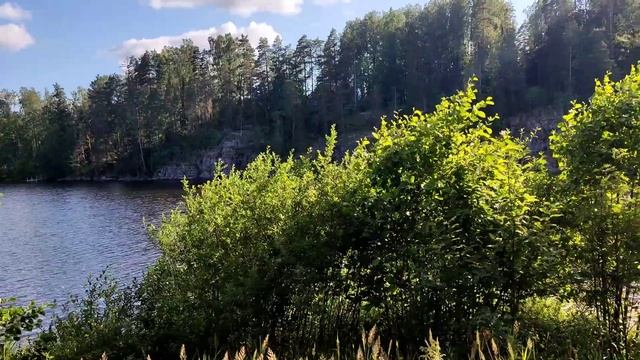 Как выглядит природа Финляндии? Велосипедом по национальному парку. National Park In Finland 2023.