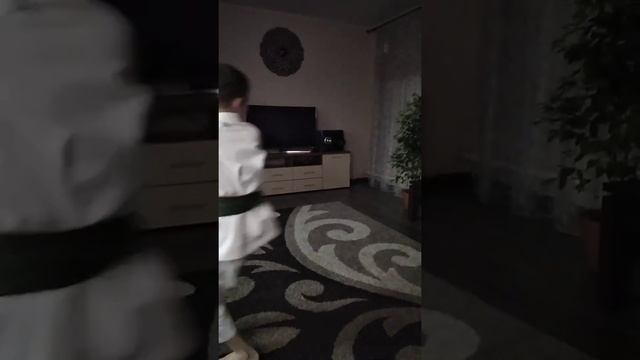 1 ката (по каратэ) смотреть онлайн