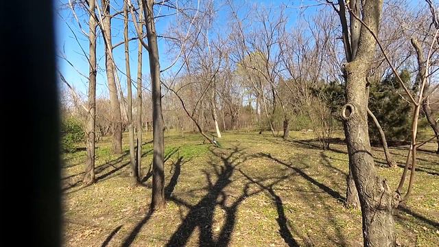 Краснодар Ботанический сад в апреле смотреть онлайн