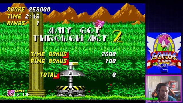 Amy Rose in Sonic the Hedgehog 2 смотреть онлайн