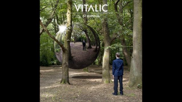 Vitalic - Stamina (Le Castle Vania Remix) Preview смотреть онлайн