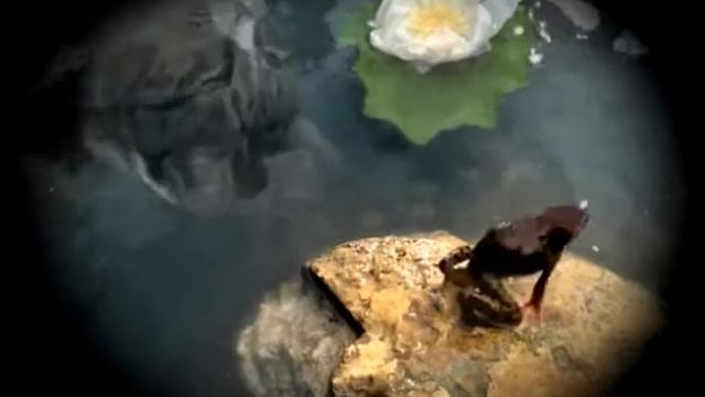 kitekat1 смотреть онлайн