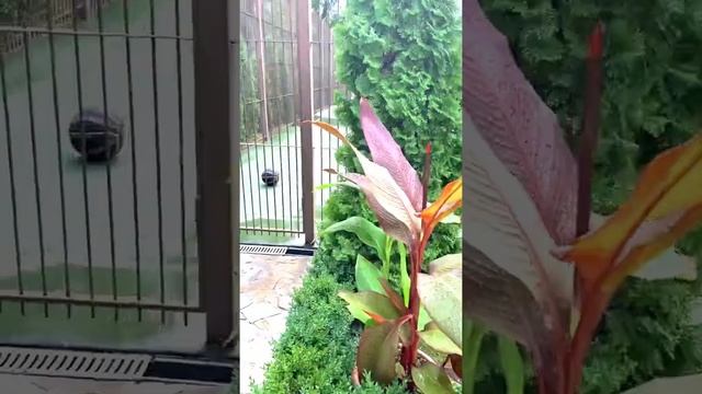 ВСЕ ВКЛЮЧЕНО. Отель БЛАГОДАТЬ. Джанхот. Отель с бассейном. Море в России #отдых #лето #любовь #жизн
