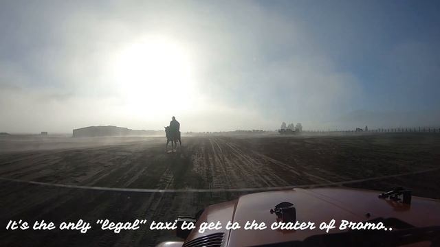 Visiting Bromo crater in East Java, Indonesia! (Mixed couple adventures!) смотреть онлайн