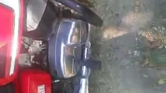 Робота мотоцикла Cezet 350 12 v 89 року смотреть онлайн
