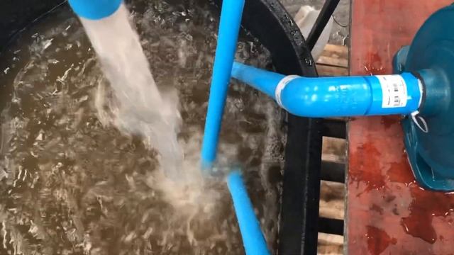 ปั้มหอยโข่ง แม็คนั่ม CPM 146L กำลัง 550 วัตต์ ท่อ 1”x1” นิ้ว смотреть онлайн