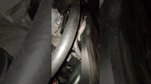 Стук в прогретом двигателе мазда 6
