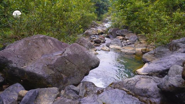 Rainforest sounds, relaxing, sleep-inducing, healing | WZRFS.05 смотреть онлайн