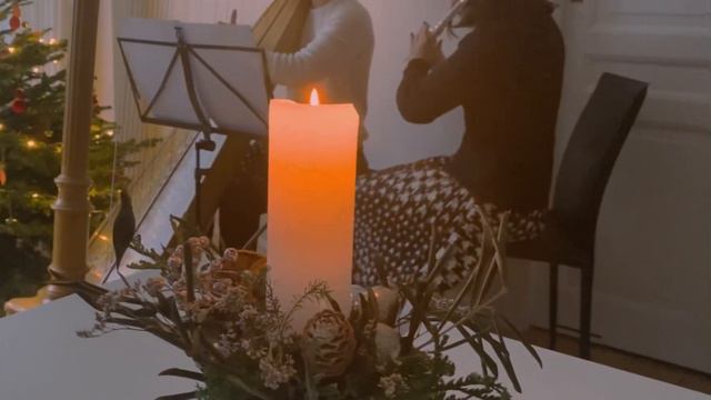 Hedwig’s Theme - Harry Potter / White Nights Duo - flute and harp смотреть онлайн