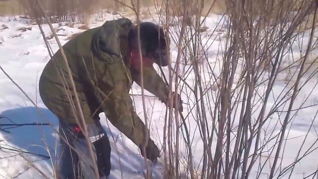 MOV 02601 смотреть онлайн