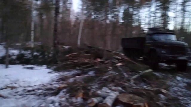 В деляне. МТЗ 82.Грузим деловой лес. смотреть онлайн
