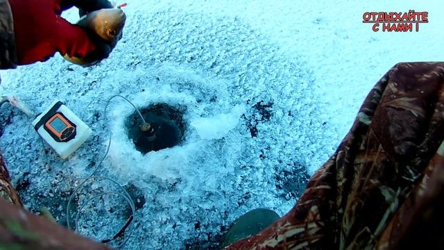 Безмотылка рулит. ЛОВЛЯ ОКУНЯ на реке ВОЛГА. смотреть онлайн