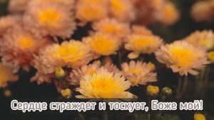 Ты не бойся преткновений на пути🎵 Братья из Михайловки🌿.