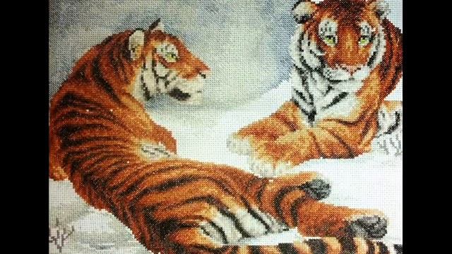 Процесс вышивки Амурские тигры смотреть онлайн