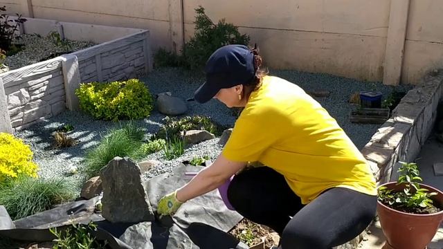 АЛЬПИЙСКАЯ ГОРКА своими руками. Просто и бюджетно. смотреть онлайн