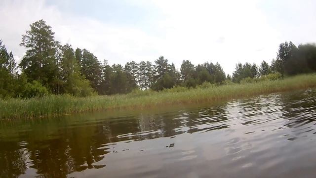 Красивое лесное озеро, купание и подводная съёмка. Алтайский край. смотреть онлайн