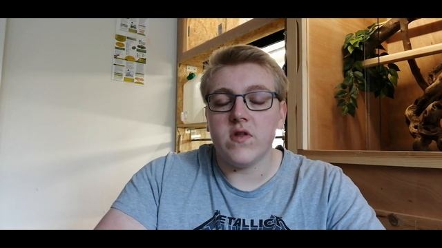 fiche d'élevage python regius et présentation de mes spécimens ! смотреть онлайн